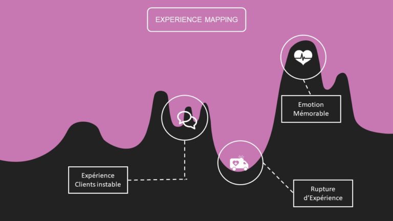 Cartographie Parcours Clients